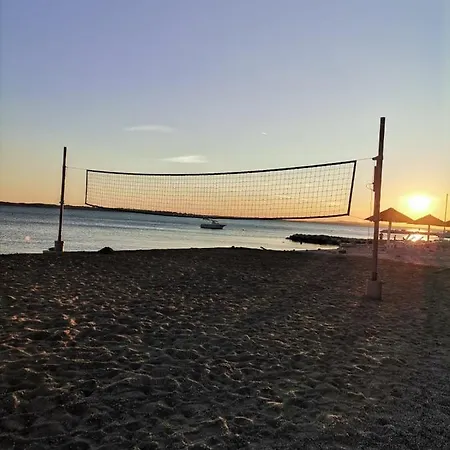 Zvoncica *