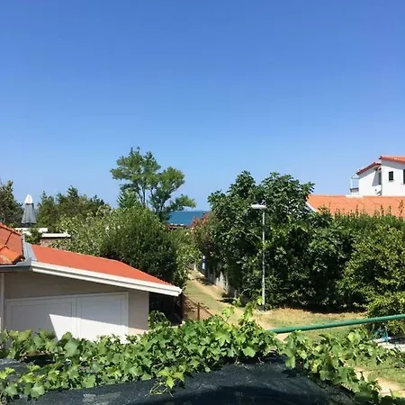 Zvoncica