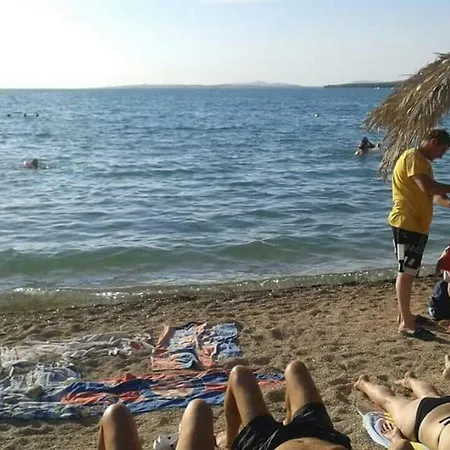 Zvoncica * Vrsi