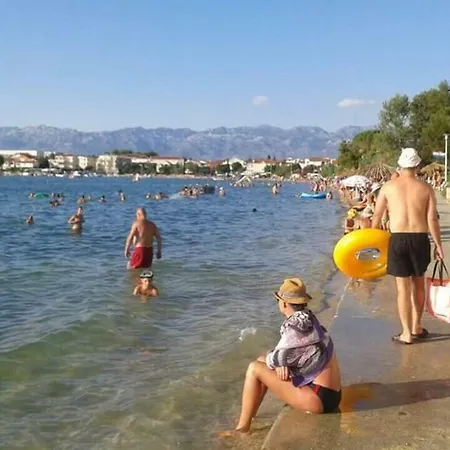Zvoncica * Vrsi