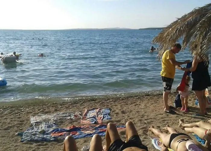 Zvoncica * Vrsi