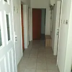 Zvoncica