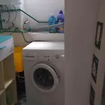 Zvoncica * Vrsi