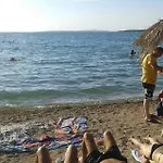 Zvoncica * Vrsi