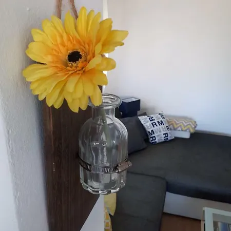 Feriehus Zvoncica Vrsi